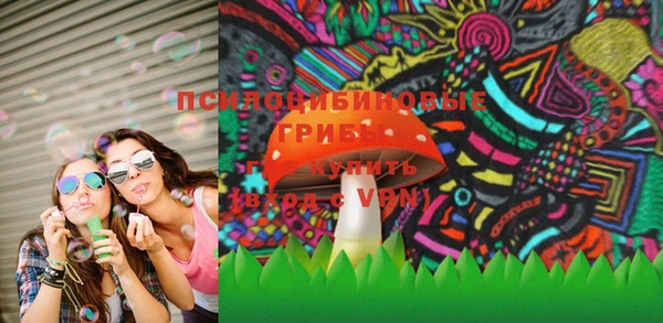 МДПВ Верхний Тагил