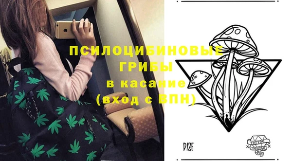 тгк Володарск