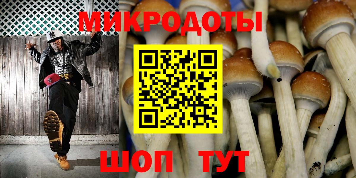 Псилоцибиновые грибы мухоморы Рузаевка