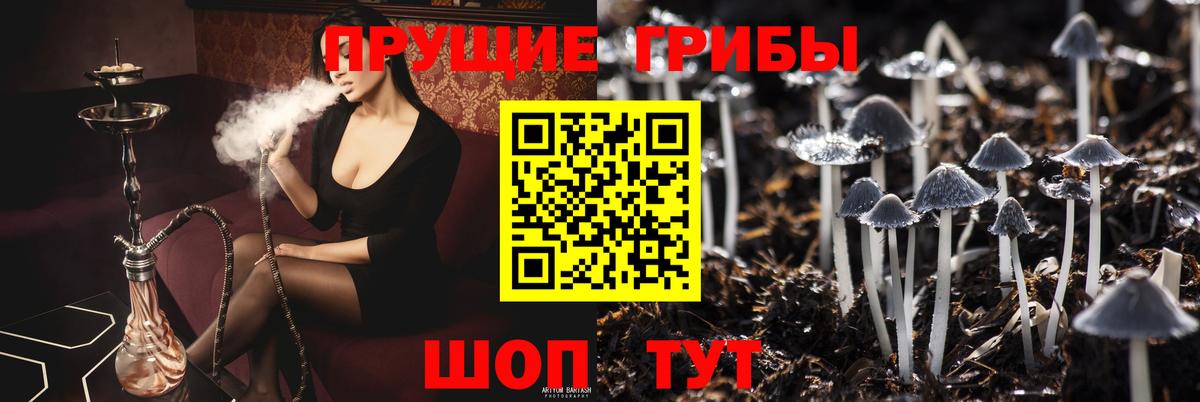 Рузаевка  Галлюциногенные грибы GOLDEN TEACHER  Псилоцибиновые грибы Psilocybine cubensis  Вход с VPN 
